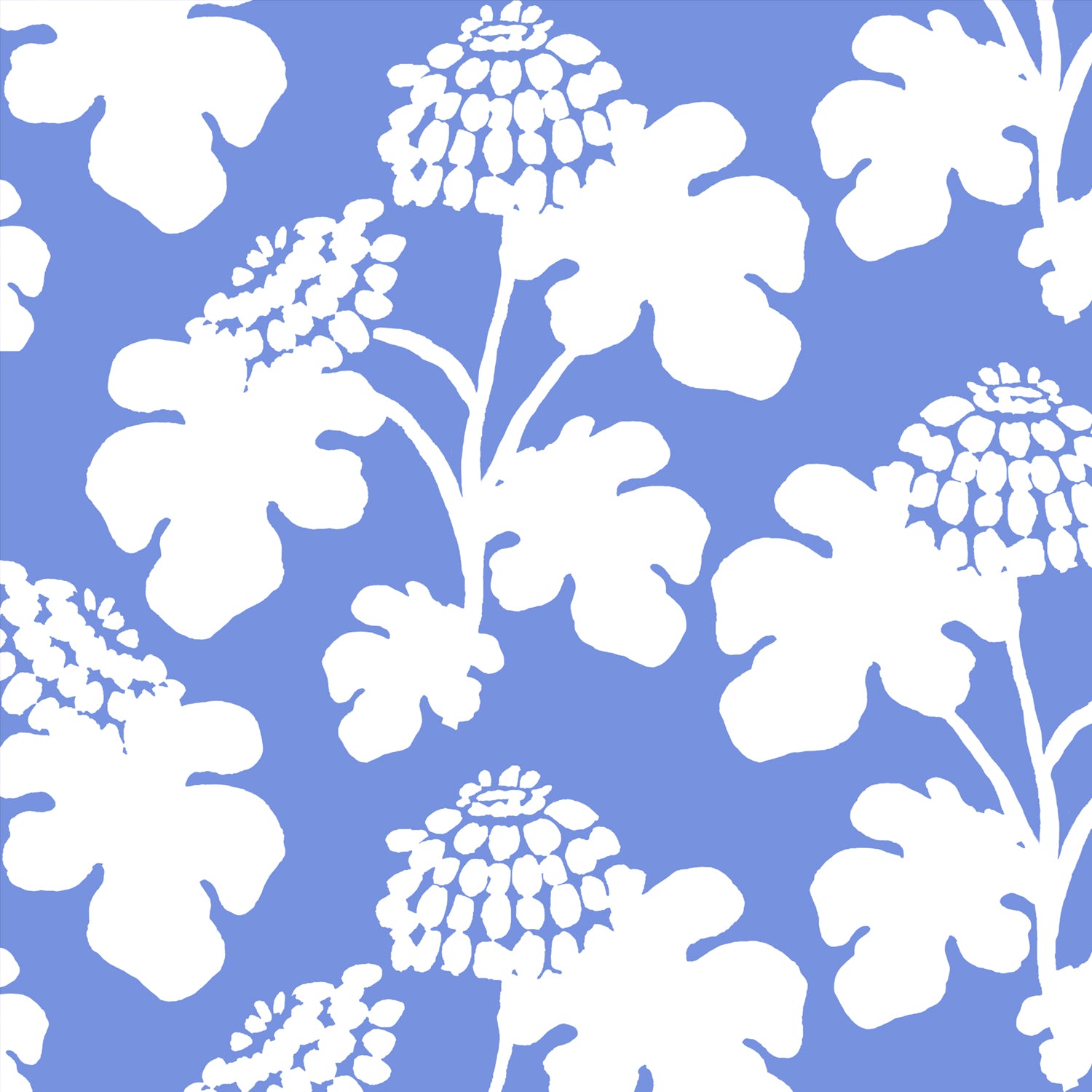 Casia Flowers Wallpaper - Sky/White